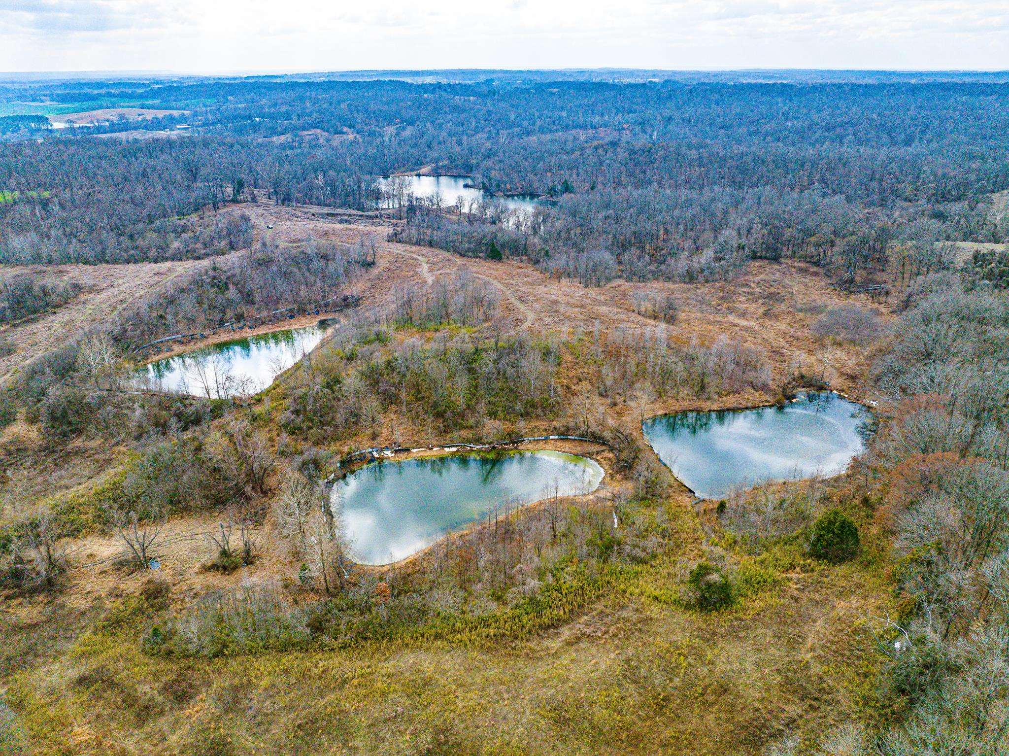 0 Minnick Elbridge Road Hornbeak, TN 38240 - Photo 2 of 31 Bird's eye view of a forest and a nearby body of water