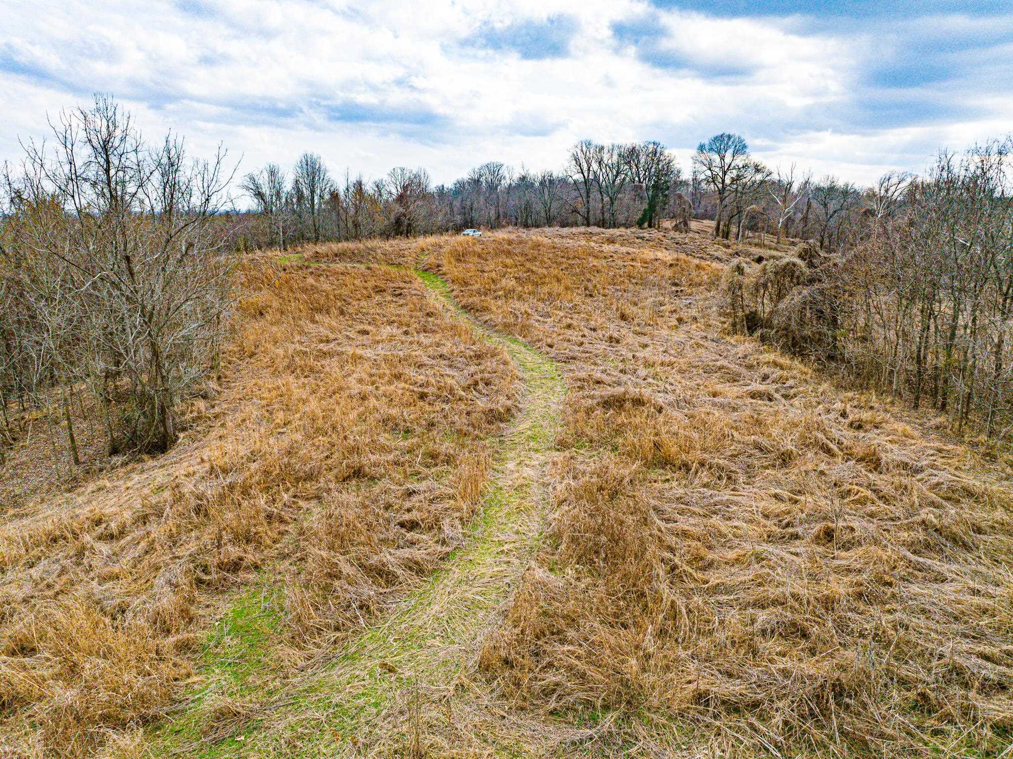 0 Minnick Elbridge Road Hornbeak, TN 38240 - Photo 21 of 31 View of undeveloped land featuring rural landscape