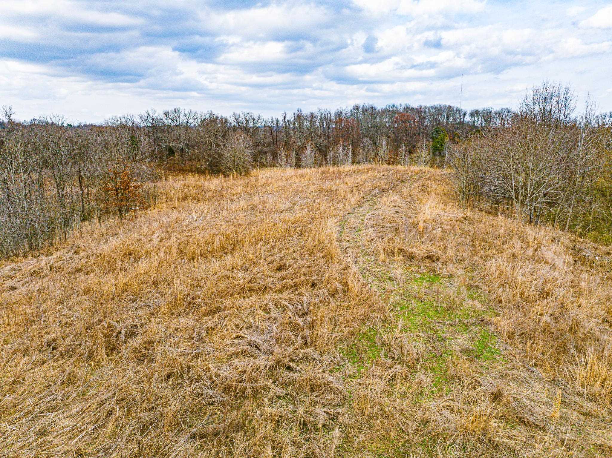 0 Minnick Elbridge Road Hornbeak, TN 38240 - Photo 23 of 31 View of nature featuring rural landscape