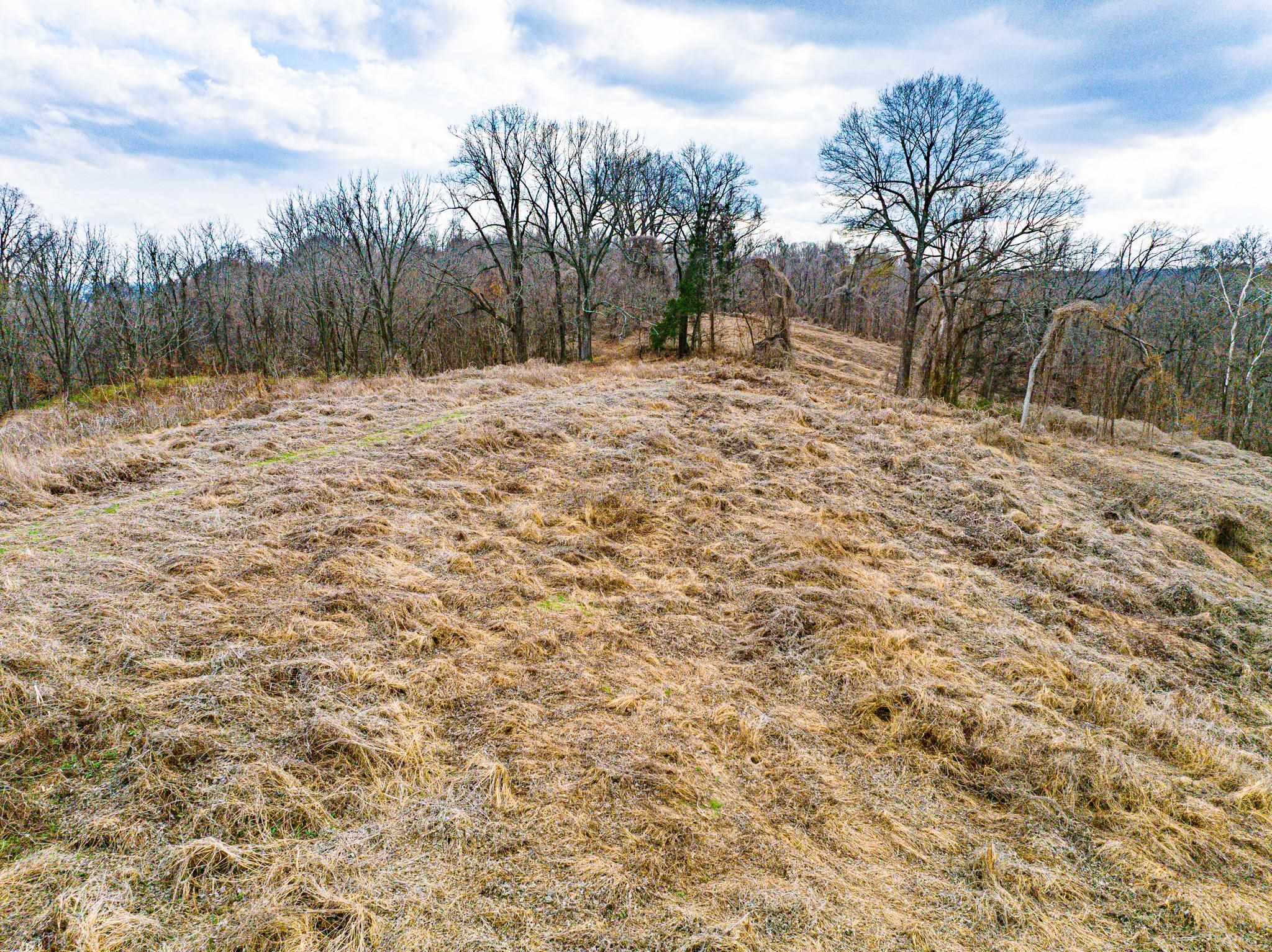 0 Minnick Elbridge Road Hornbeak, TN 38240 - Photo 24 of 31 View of yard with a rural view