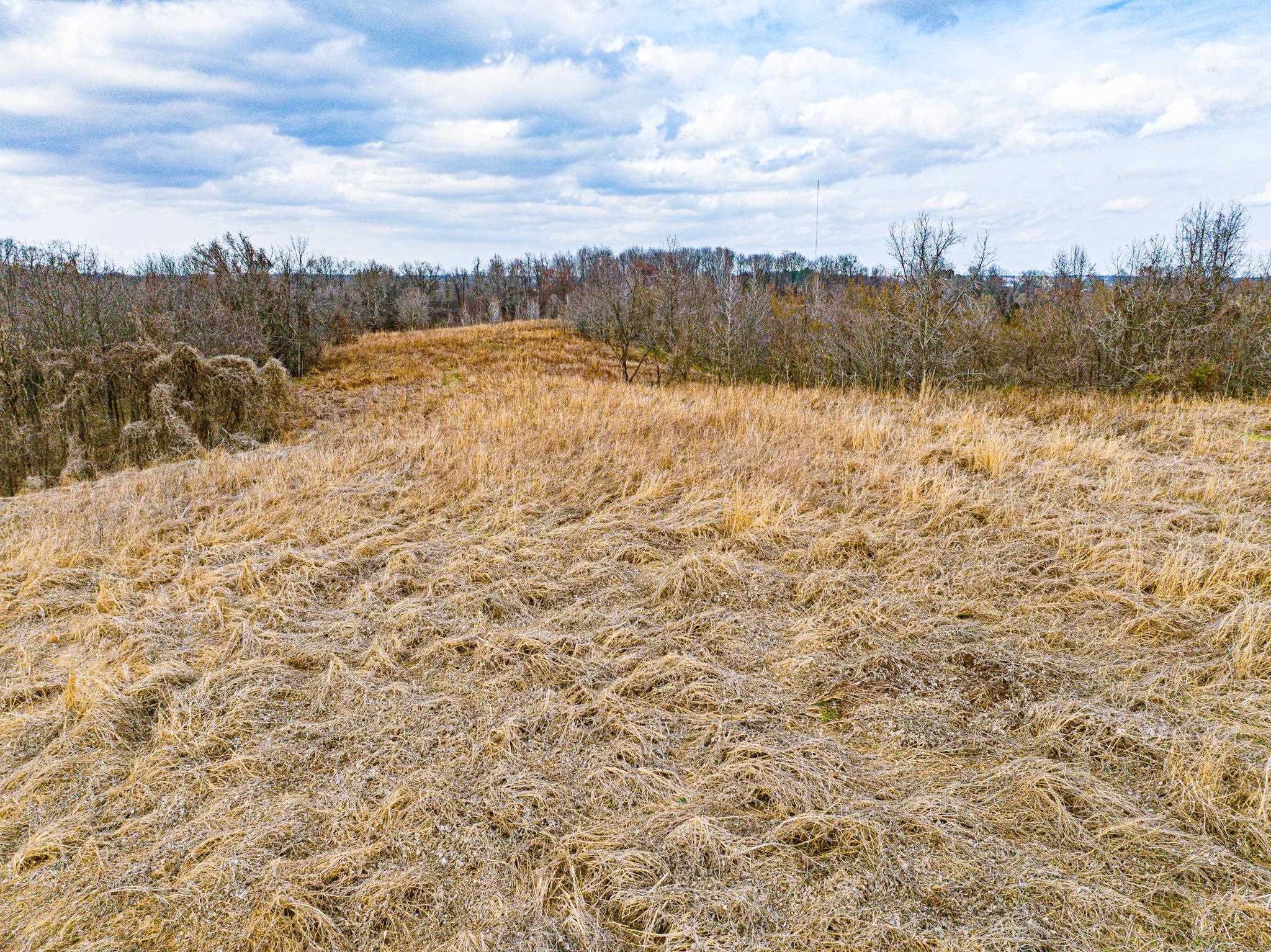 0 Minnick Elbridge Road Hornbeak, TN 38240 - Photo 25 of 31 View of undeveloped land with rural landscape