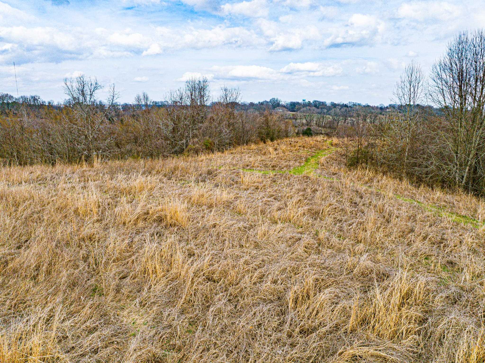 0 Minnick Elbridge Road Hornbeak, TN 38240 - Photo 26 of 31 View of local wilderness with rural landscape