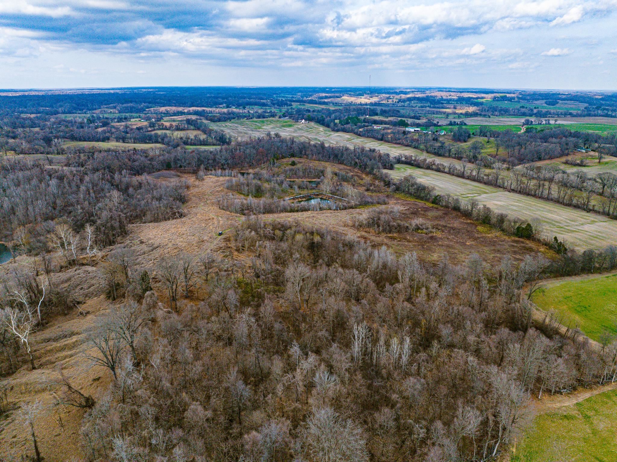 0 Minnick Elbridge Road Hornbeak, TN 38240 - Photo 27 of 31 View of rural area