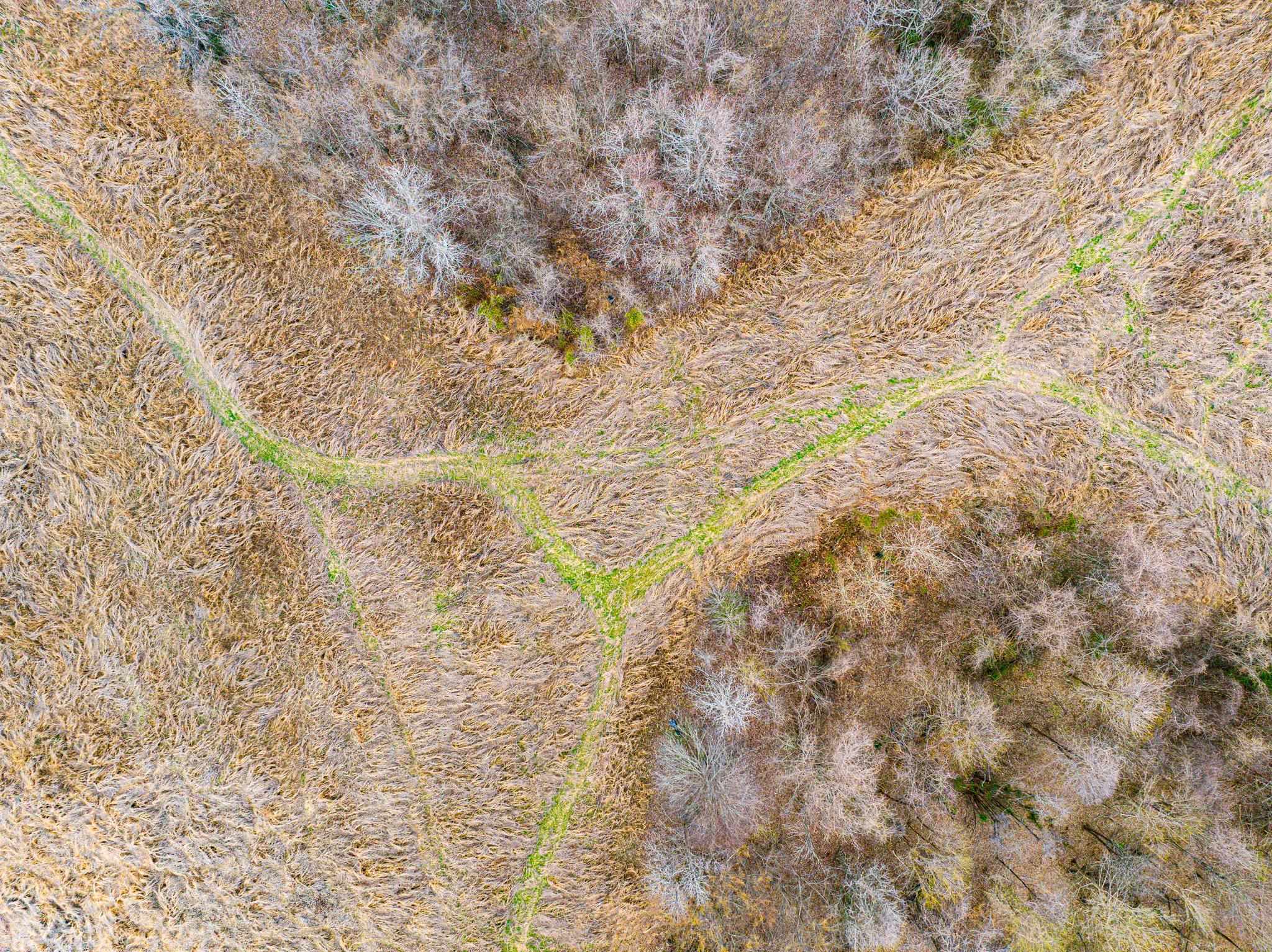 0 Minnick Elbridge Road Hornbeak, TN 38240 - Photo 28 of 31 Drone / aerial view