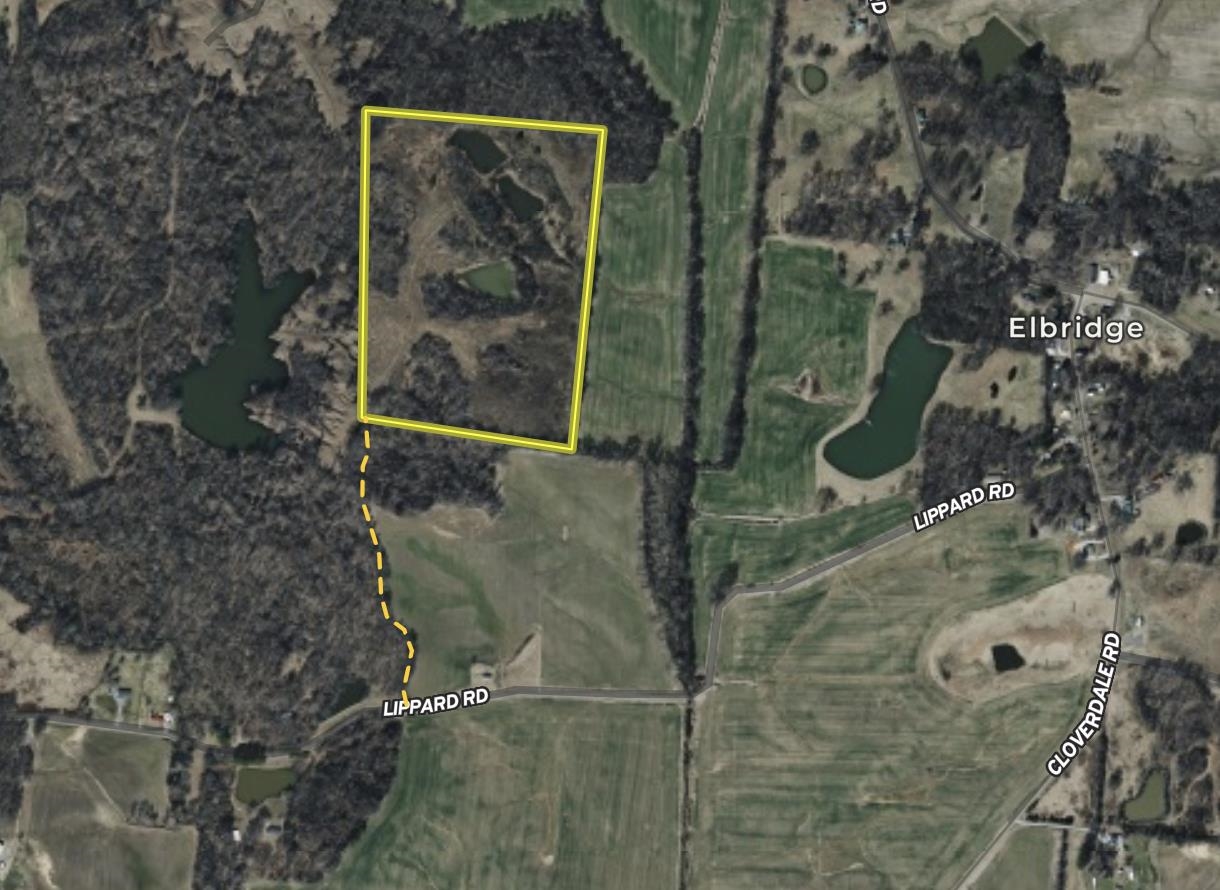 0 Minnick Elbridge Road Hornbeak, TN 38240 - Photo 29 of 31 Map / location featuring property boundaries highlighted