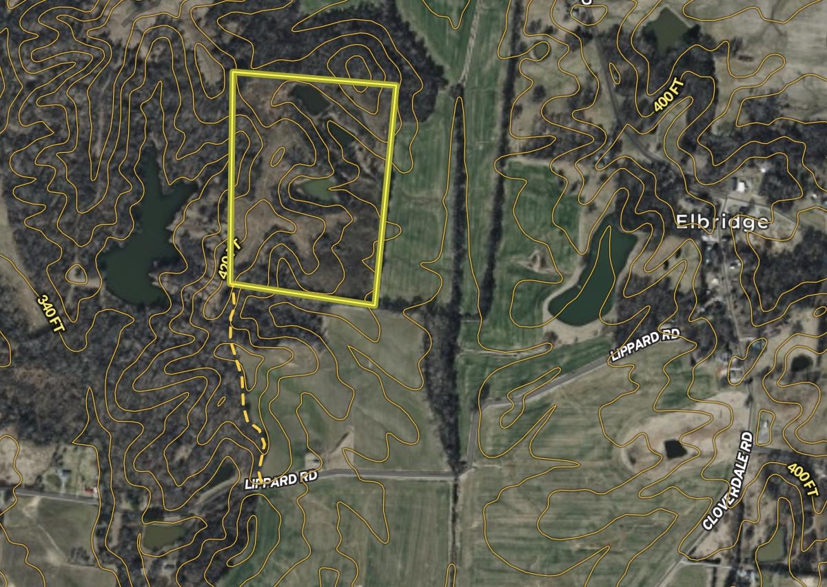 0 Minnick Elbridge Road Hornbeak, TN 38240 - Photo 30 of 31 Aerial overview of property's location