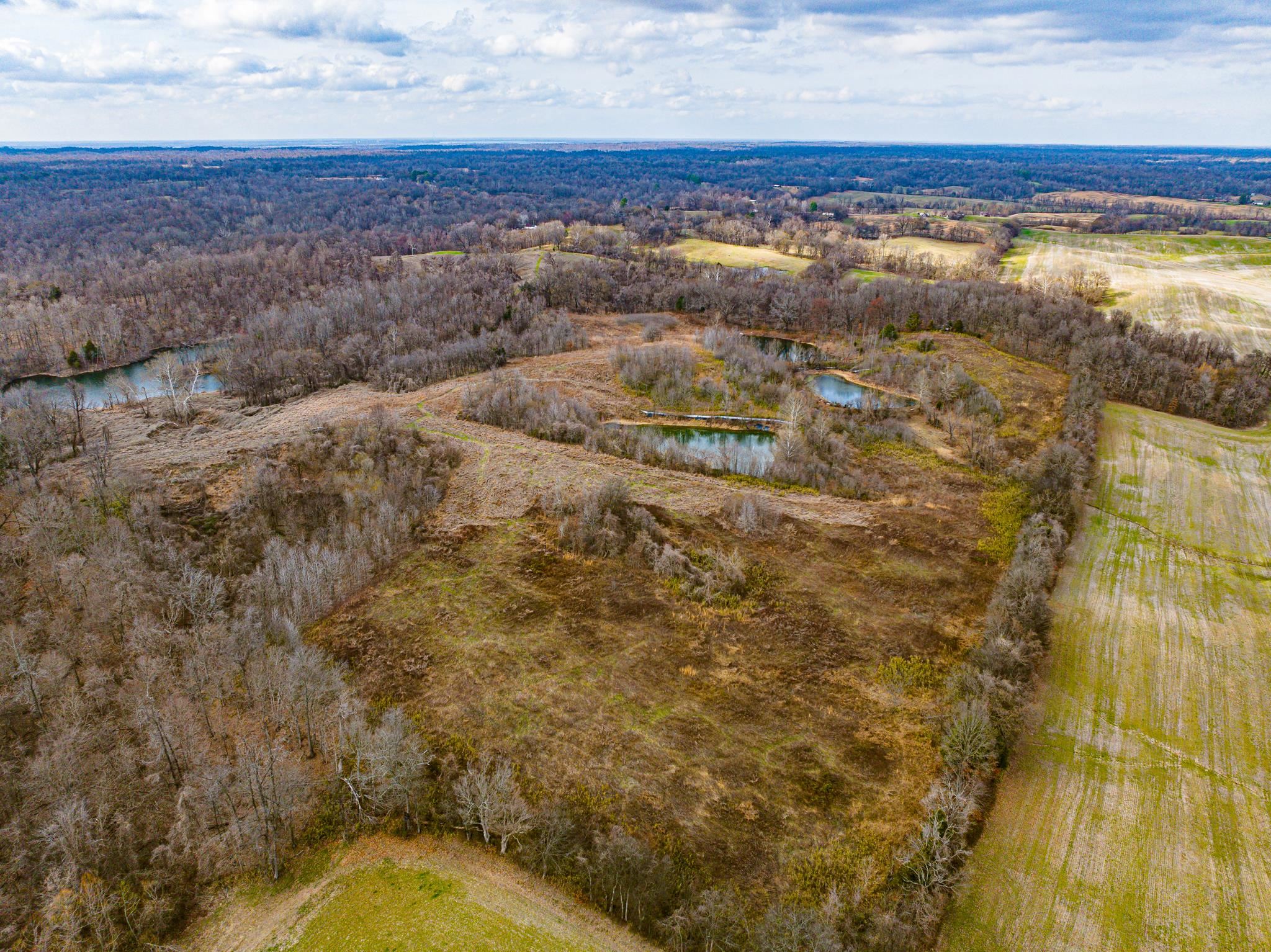 0 Minnick Elbridge Road Hornbeak, TN 38240 - Photo 4 of 31 Bird's eye view of a large body of water and a forest