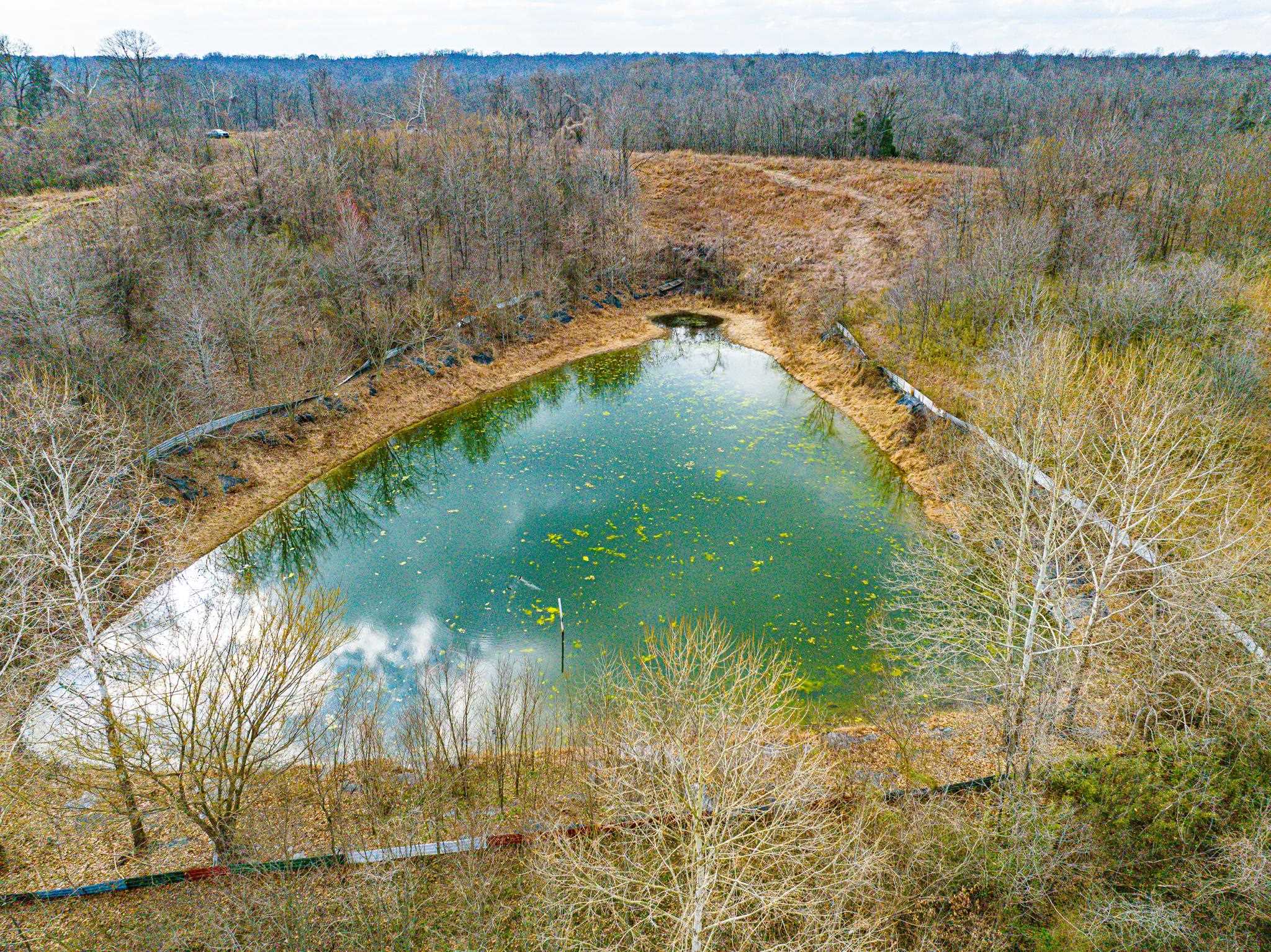 0 Minnick Elbridge Road Hornbeak, TN 38240 - Photo 9 of 31 Aerial view of a large body of water and a forest