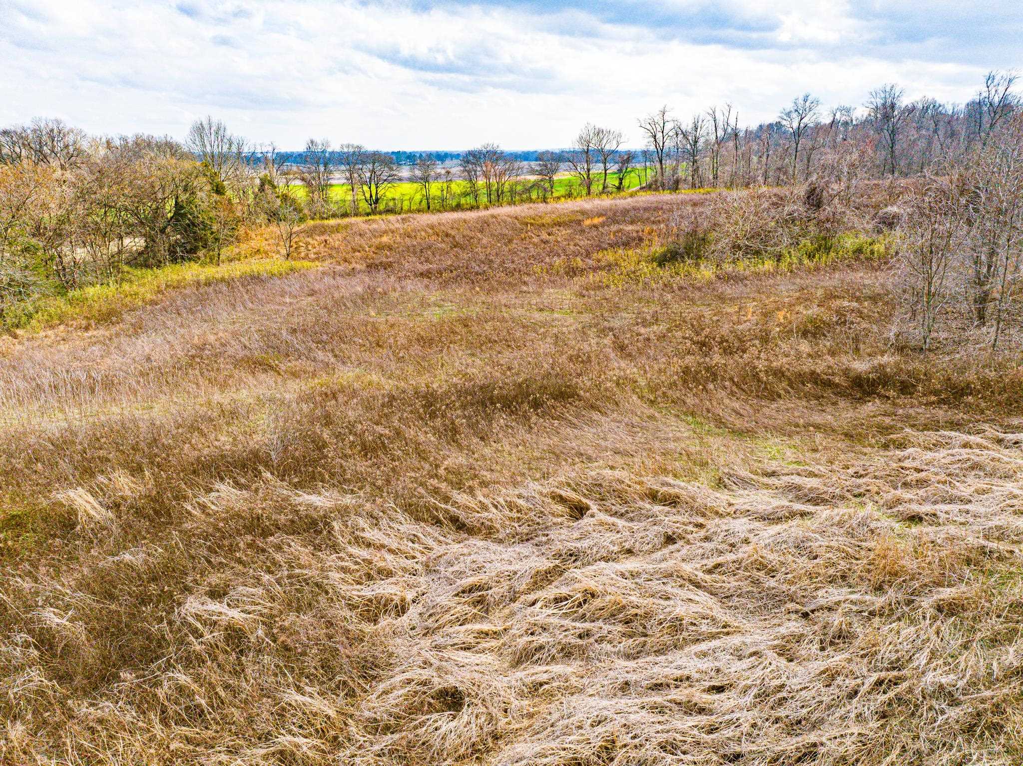 0 Minnick Elbridge Road Hornbeak, TN 38240 - Photo 10 of 31 View of undeveloped land featuring rural landscape