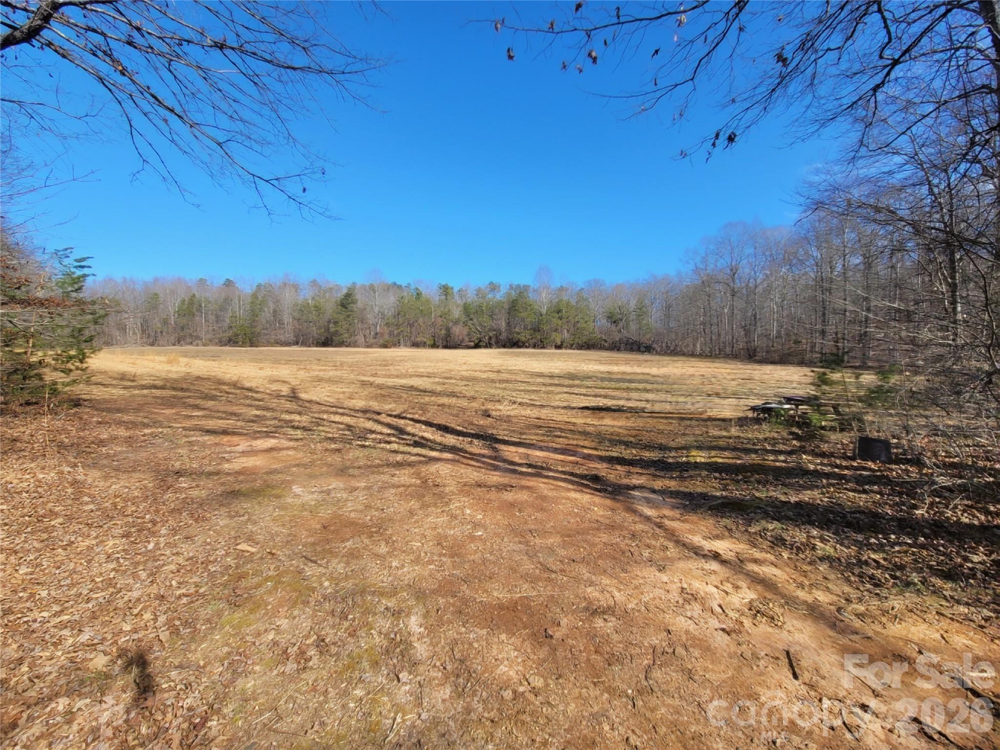 999 Bill Collins Road Columbus, NC 28722 - Photo 8 of 9