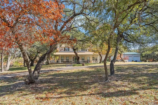 a view of a yard with plants and trees