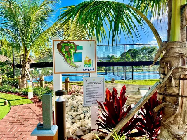 a view of a garden with plants