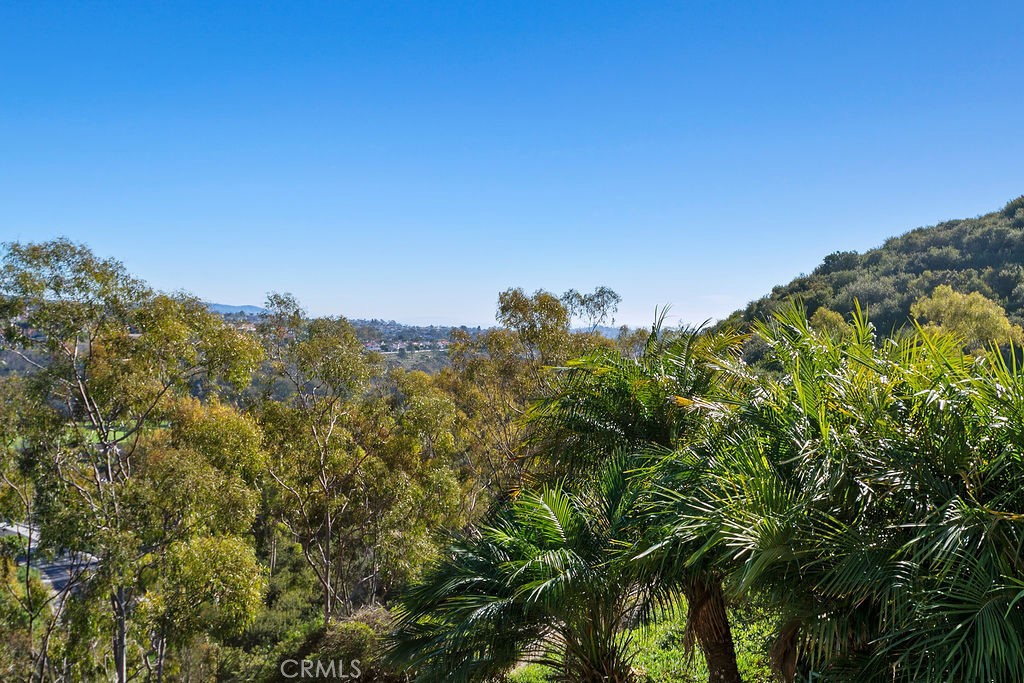 30942 Calle Moraga Laguna Niguel, CA 92677 - Photo 20 of 40 a view of a green field