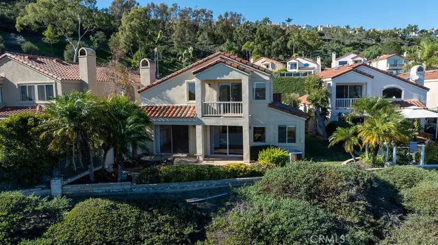 an aerial view of a house with a yard and potted plants