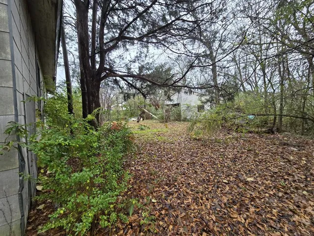 a view of a yard with large trees