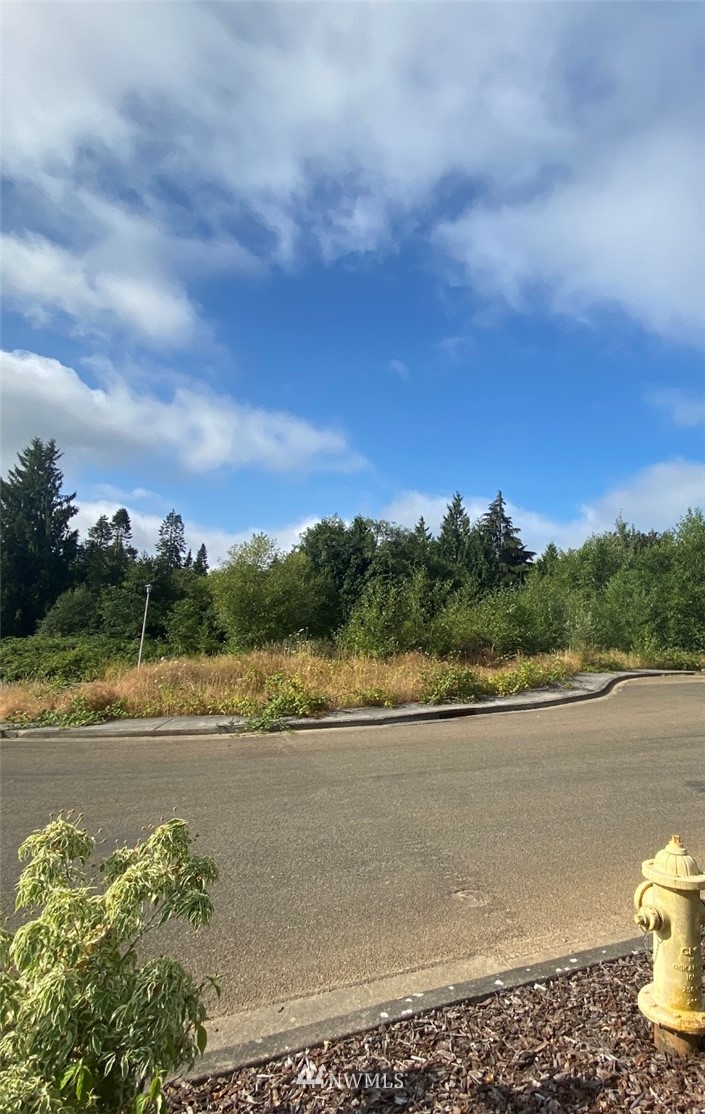 139 Altavista Road Longview, WA 98632 - Photo 1 of 2 Gallery Image 1