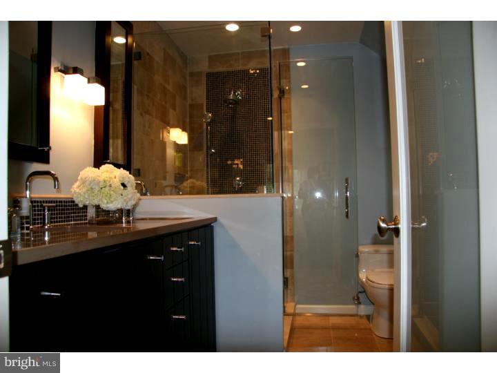 223 Brydon Road Wynnewood, PA 19096 - Photo 11 of 19 Master Bathroom