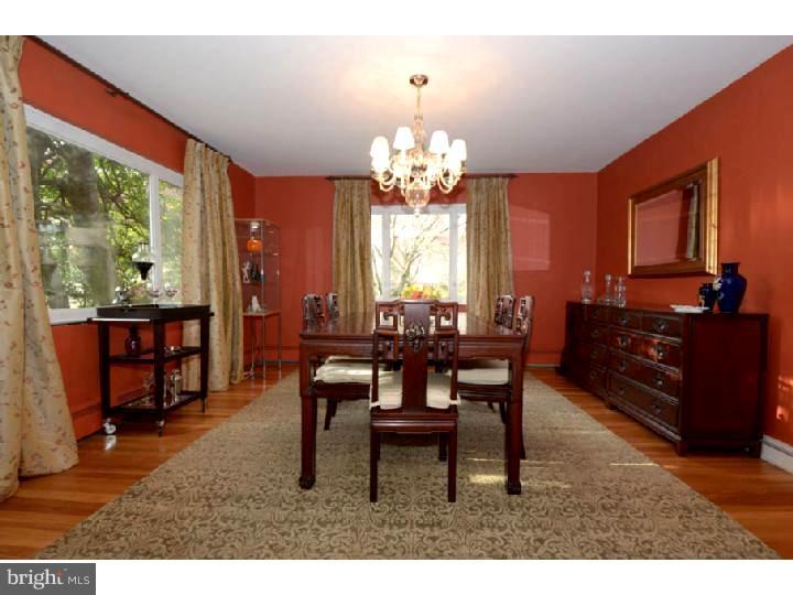 223 Brydon Road Wynnewood, PA 19096 - Photo 5 of 19 Gallery Image 5