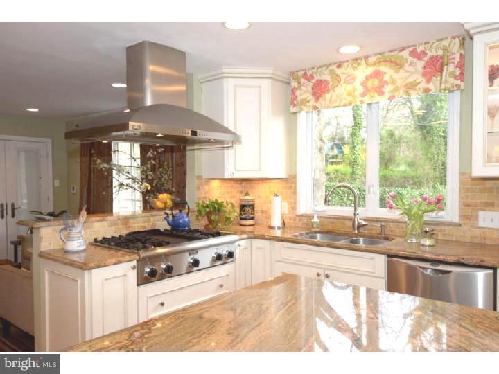223 Brydon Road Wynnewood, PA 19096 - Photo 7 of 19 Kitchen