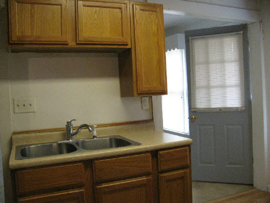 116 South 9th Street Rochelle, IL 61068 - Photo 5 of 9 a bathroom with a sink and cabinets