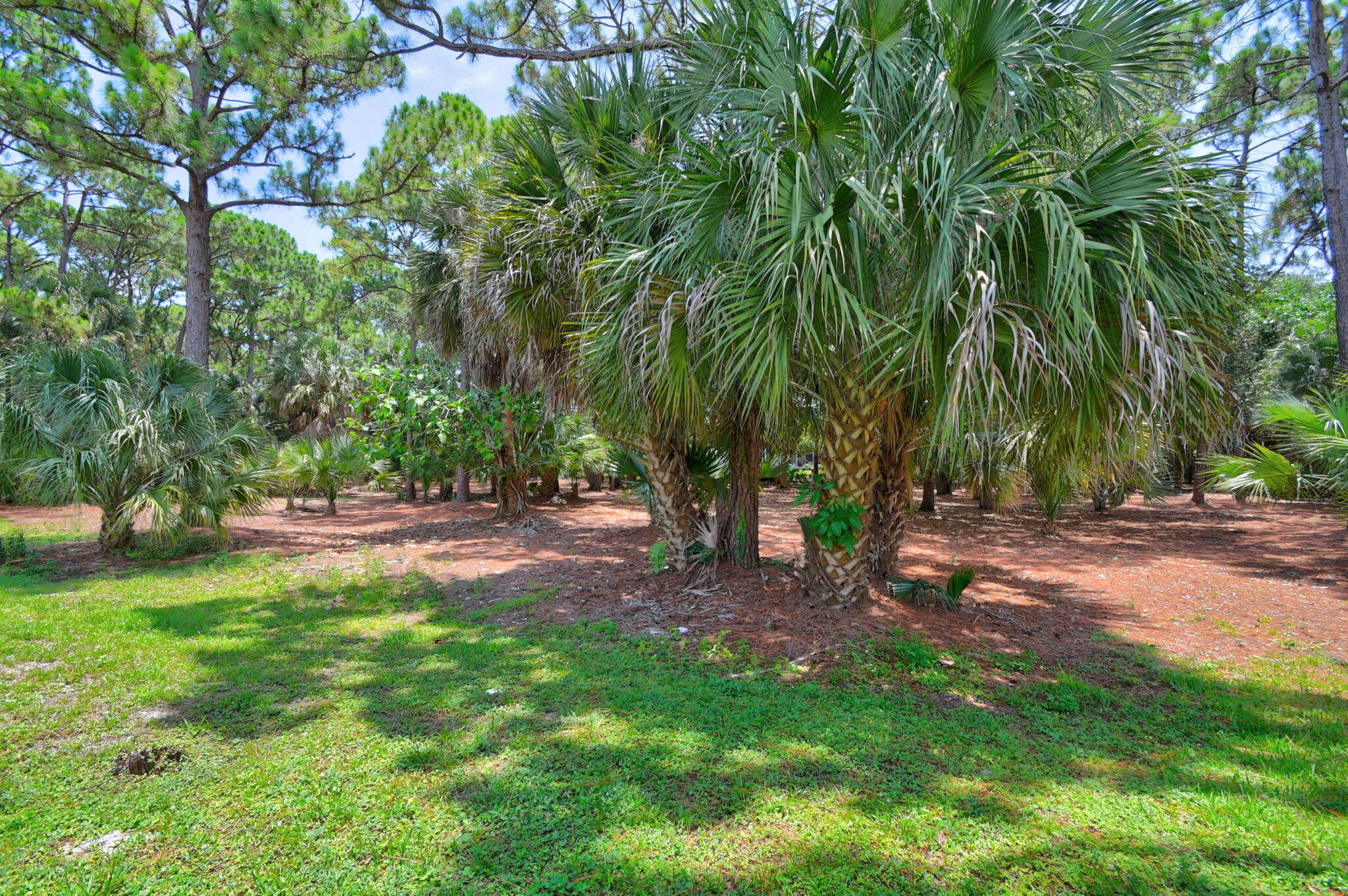 8332 Bermuda Sound Way Boynton Beach, FL 33436 - Photo 45 of 67 43-web-or-mls-DSC_5546