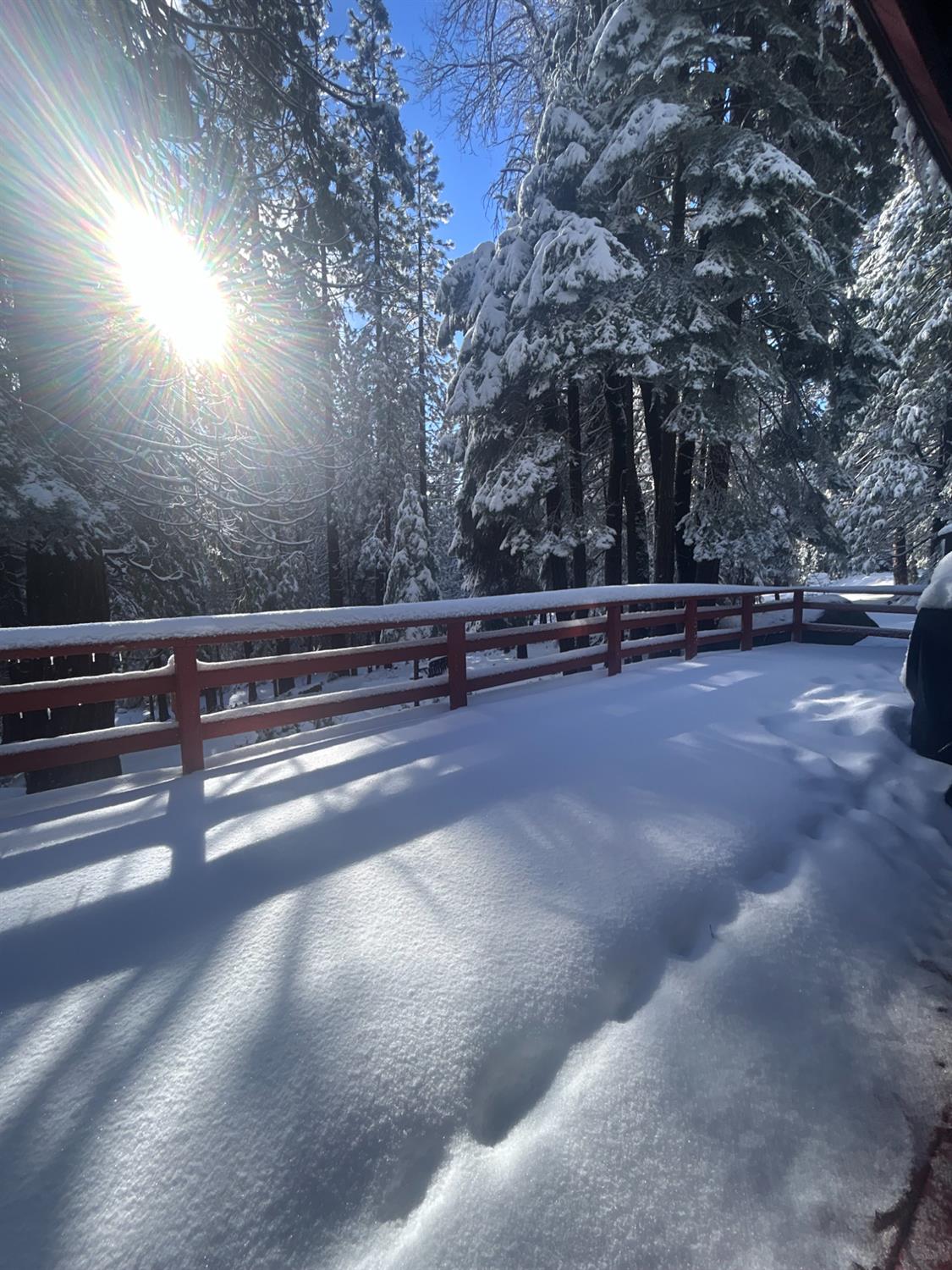 41080 Putt Road Alta, CA 95715 - Photo 16 of 17 a view of outdoor space with trees