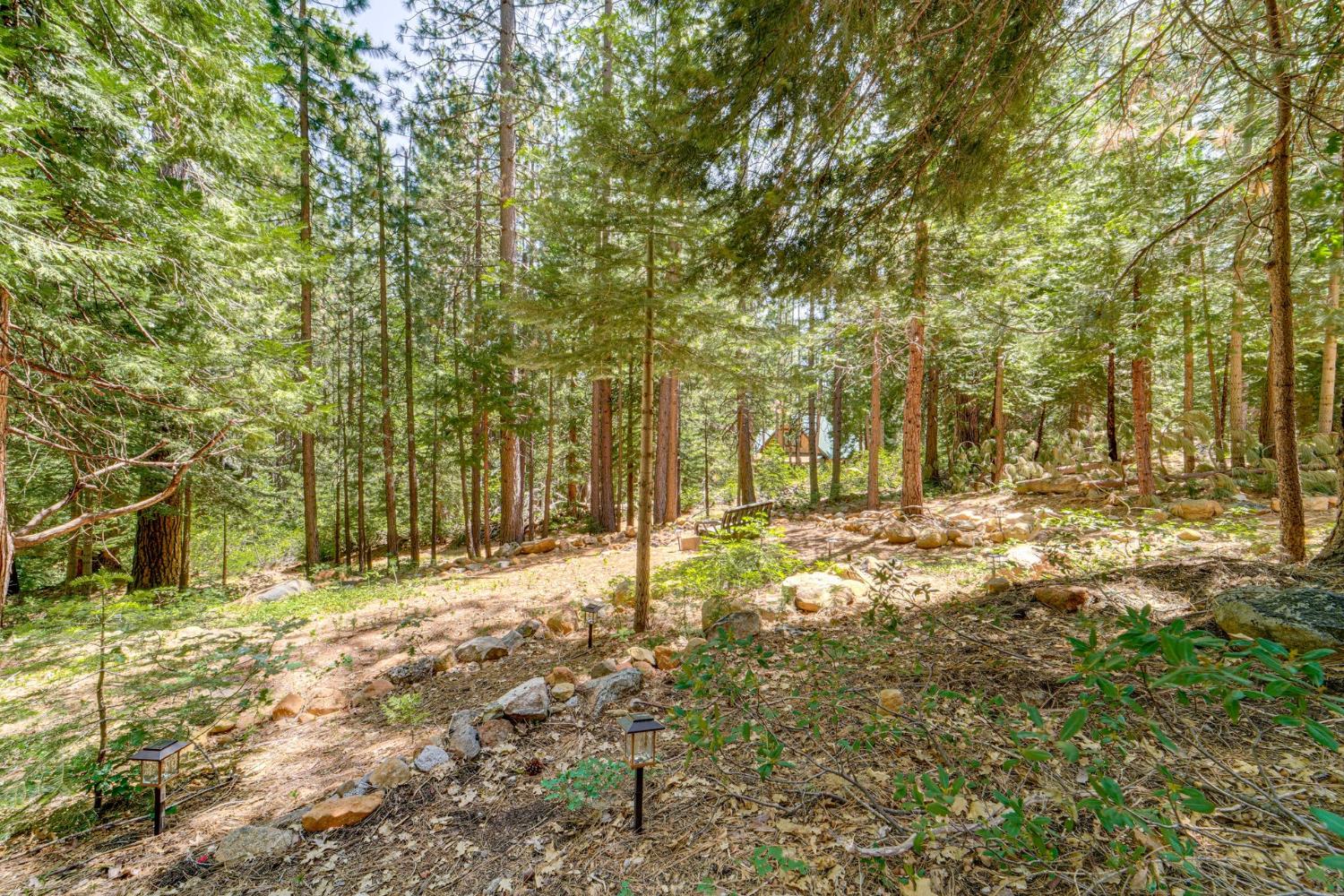 41080 Putt Road Alta, CA 95715 - Photo 17 of 17