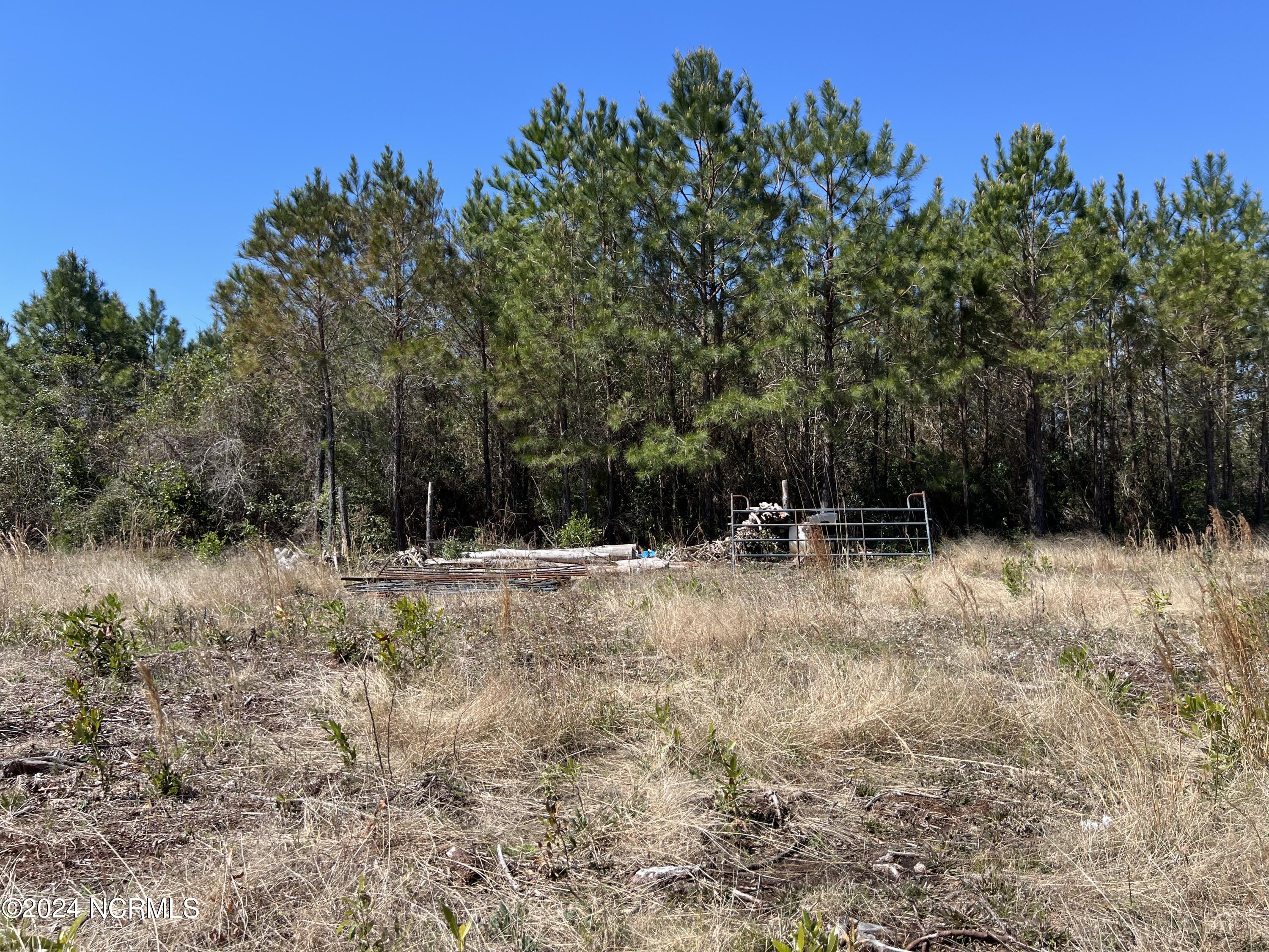686 Old Winberry Road Newport, NC 28570 - Photo 28 of 28 IMG_1877