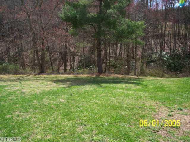 131 Lowe Road Mount Airy, NC 27030 - Photo 12 of 13 Yard/Garden. Side yard
