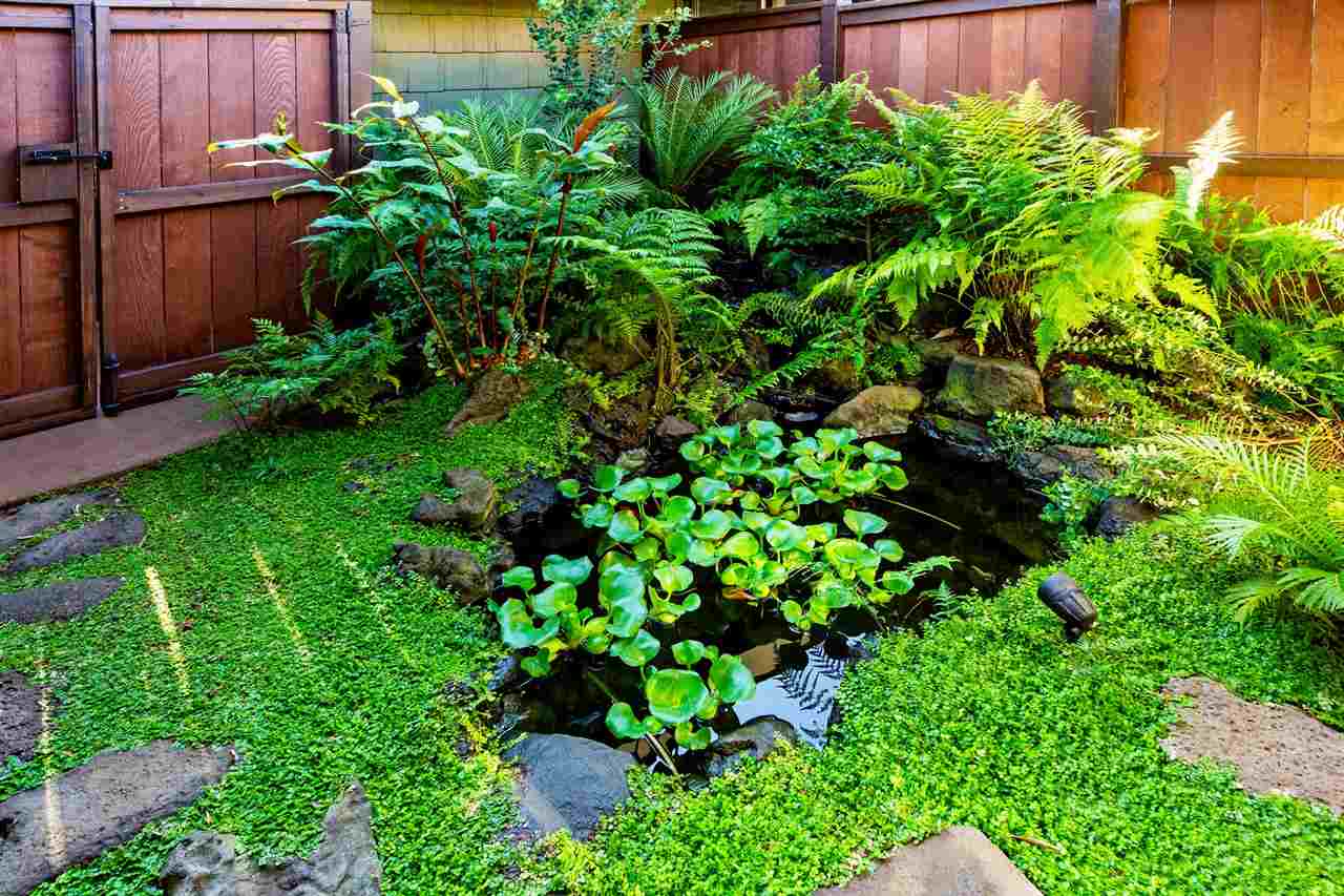 718 Holopuni Road Kula, HI 96790 - Photo 17 of 21 a view of a plant in a garden