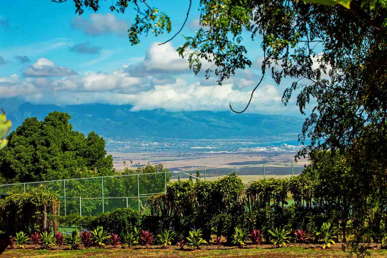 718 Holopuni Road Kula, HI 96790 - Photo 19 of 21 a view of yard