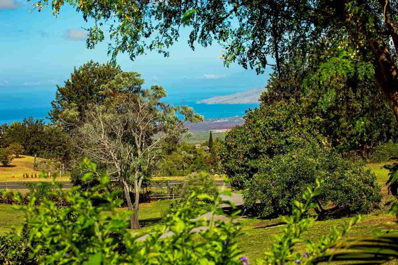 718 Holopuni Road Kula, HI 96790 - Photo 4 of 21 a view of a garden