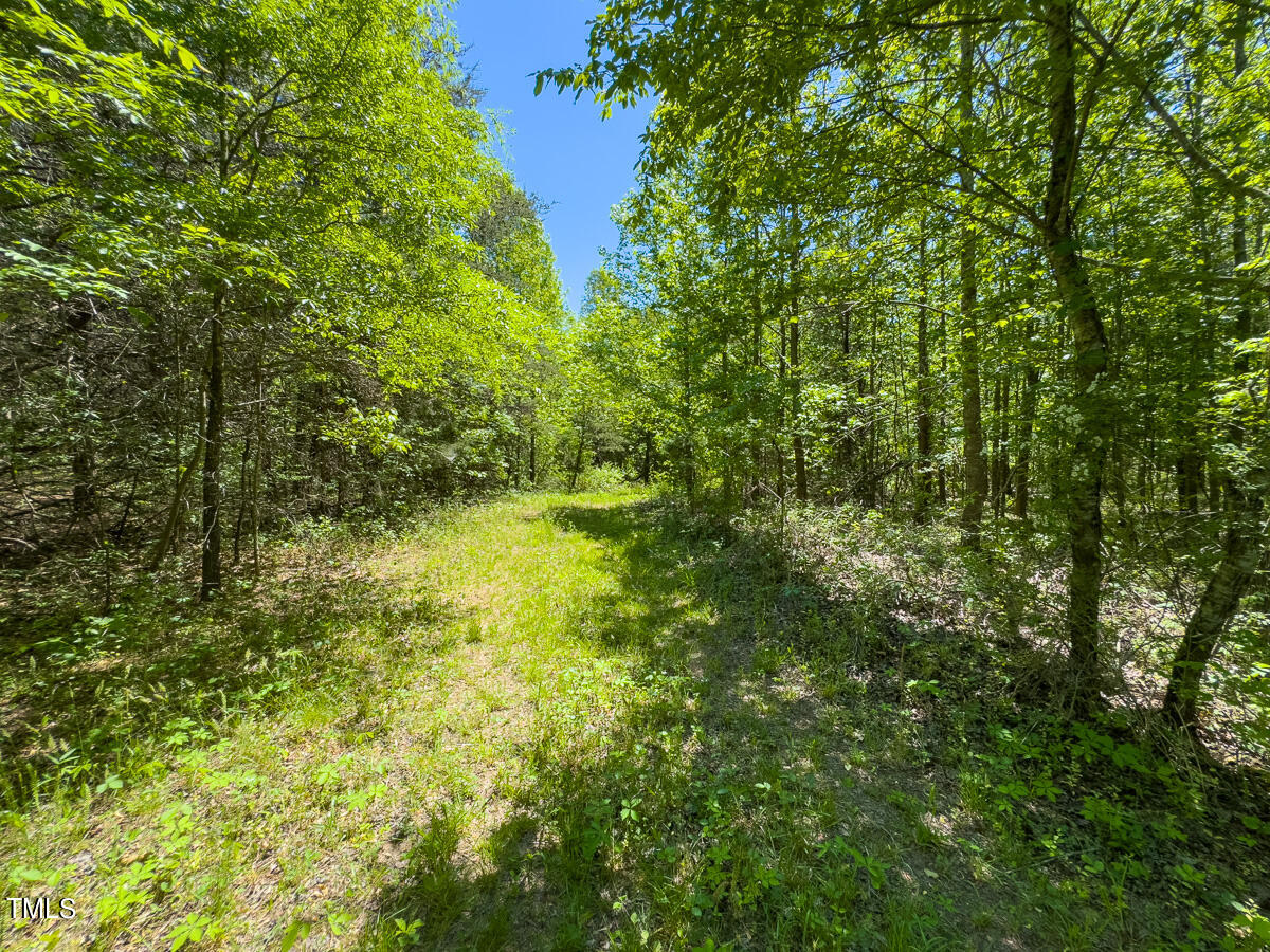 Lot-4-00 Wilson Road Providence, NC 27315 - Photo 17 of 38 Caswell Co. NC -Wilsons Ridge-Lot 4-17
