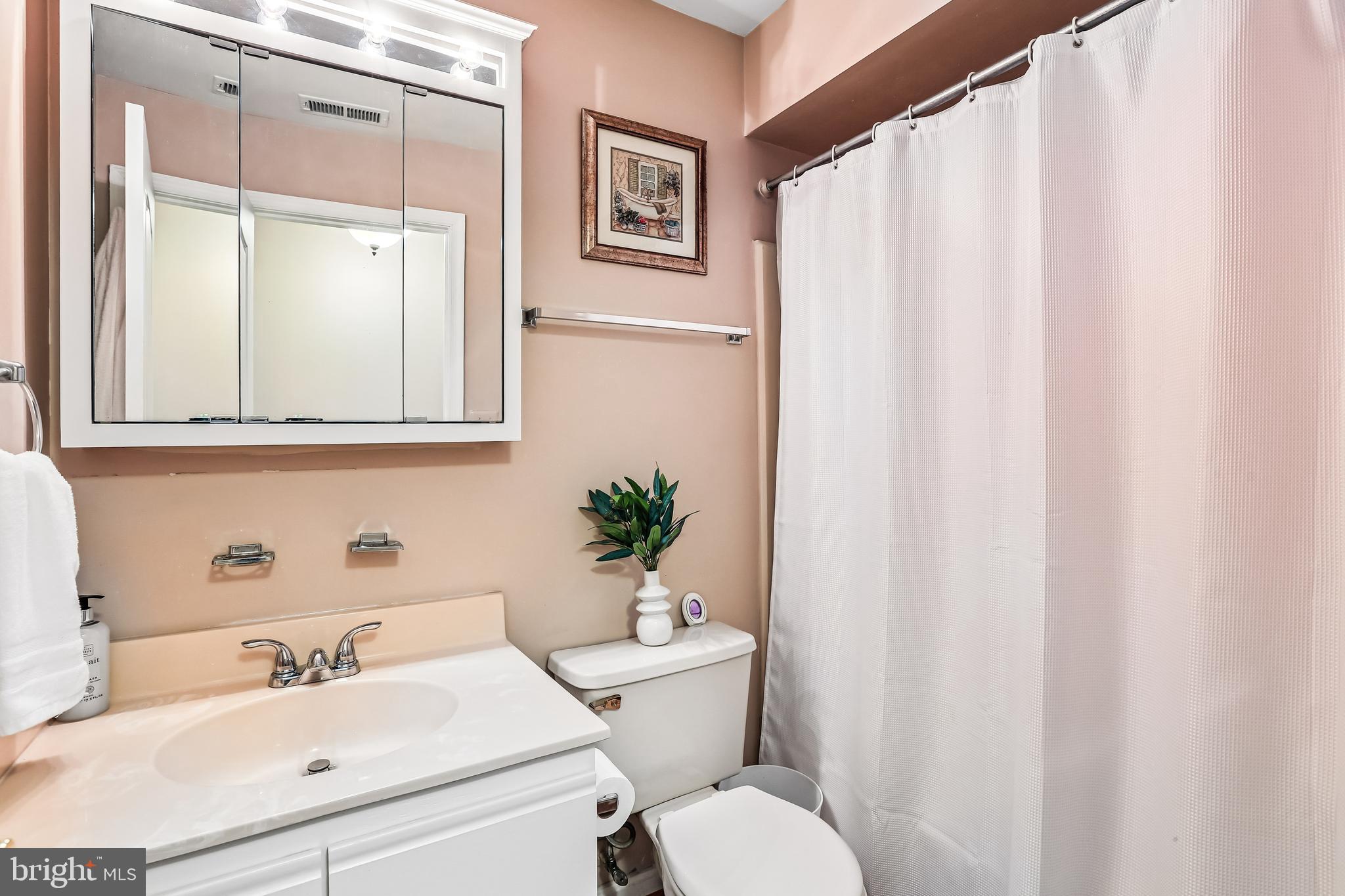 8613 Falls Run Road, Unit E Ellicott City, MD 21043 - Photo 14 of 20 Bathroom