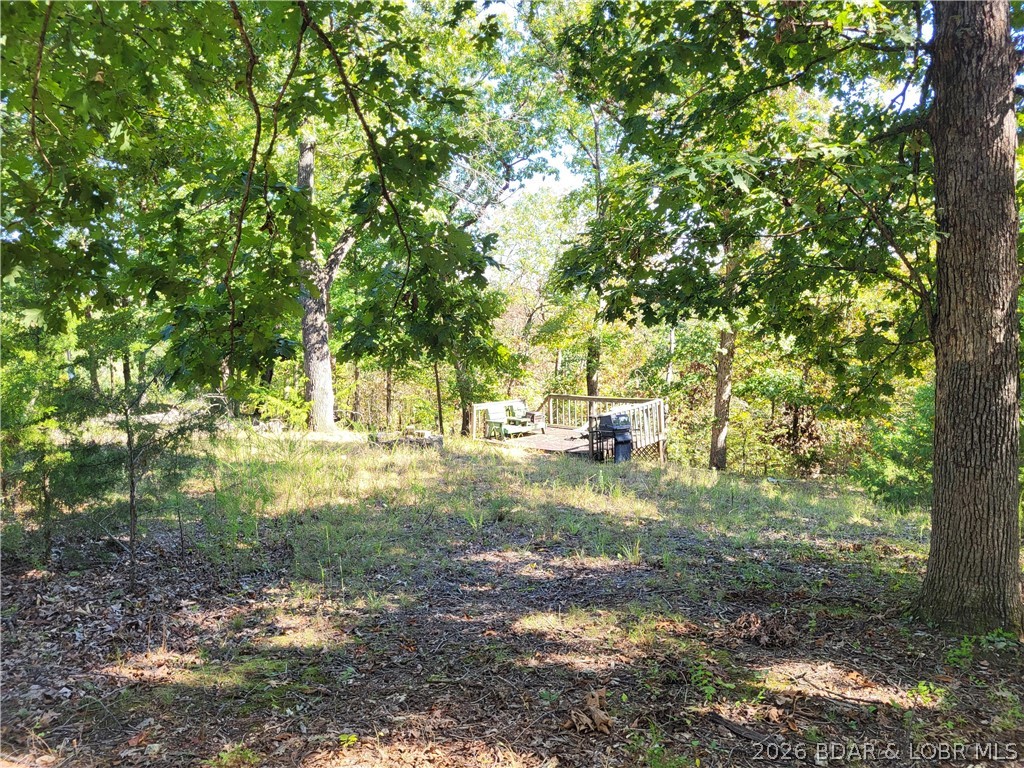 32534 Compromise Road Gravois Mills, MO 65037 - Photo 2 of 12