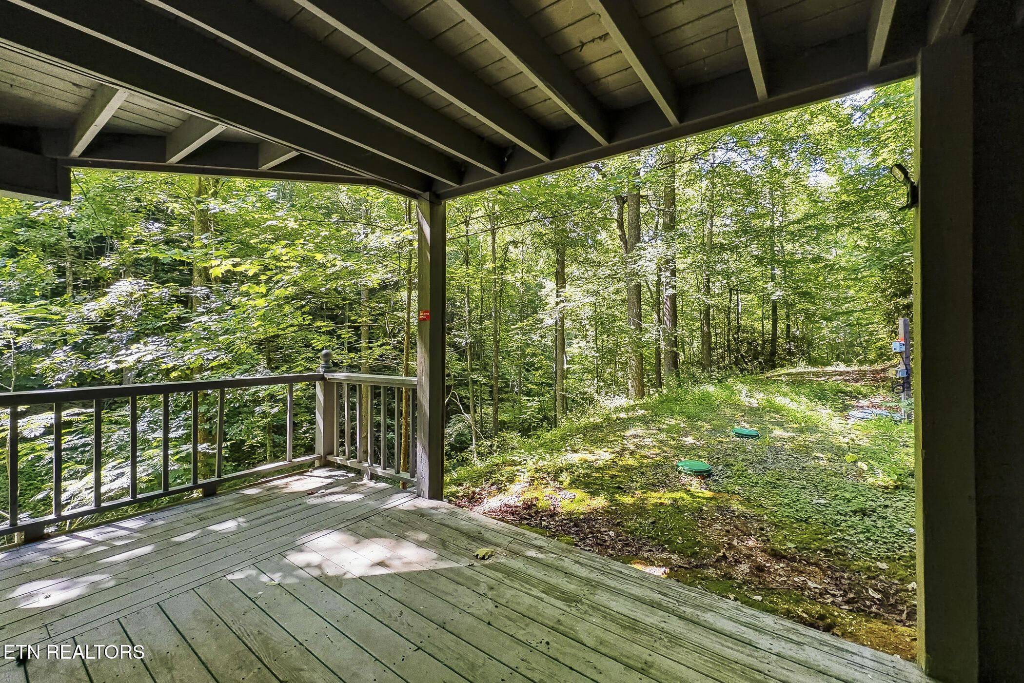 2685 South Clear Fork Road Sevierville, TN 37862 - Photo 31 of 55 img_2462