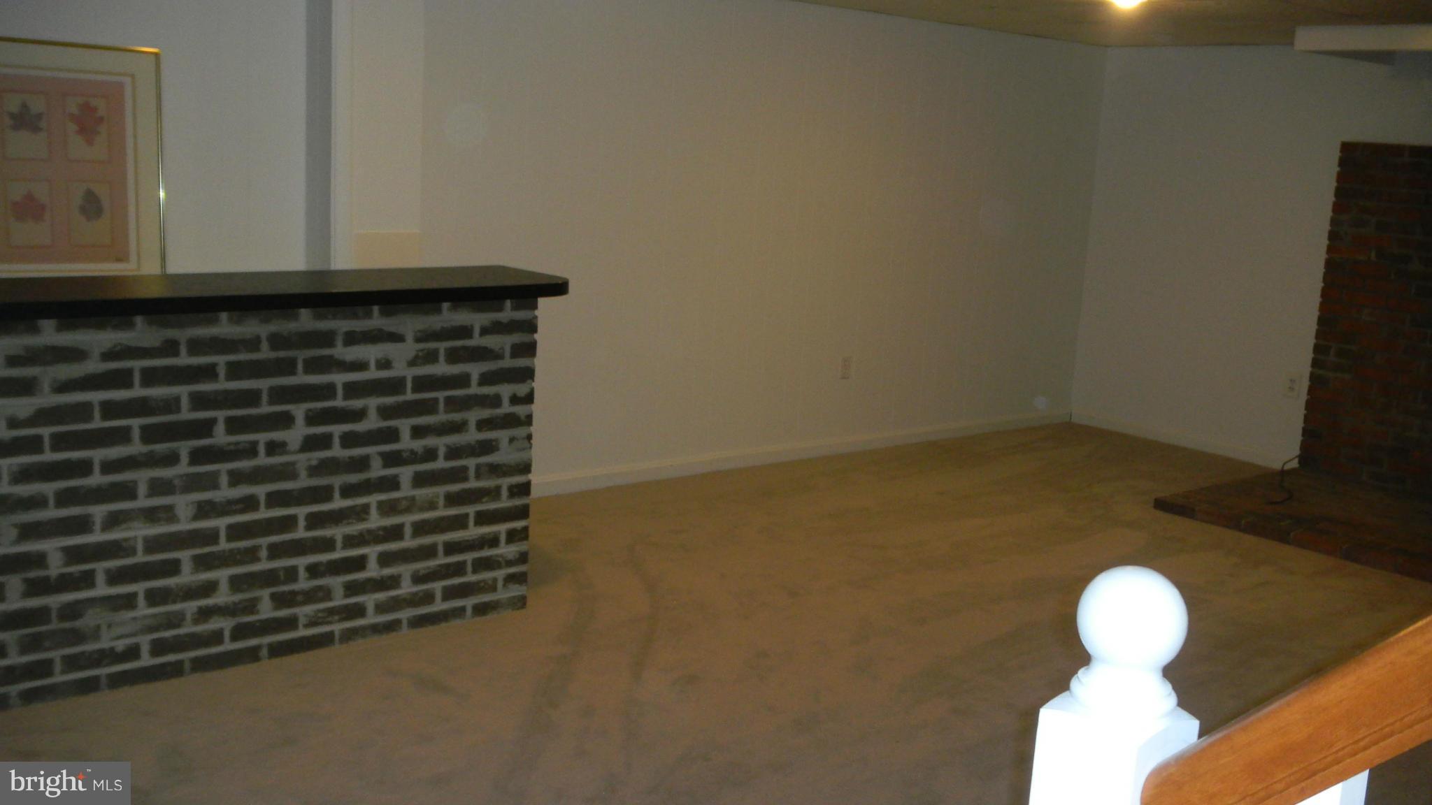 3706 Everton Street Silver Spring, MD 20906 - Photo 15 of 25 Rec Room Full Length