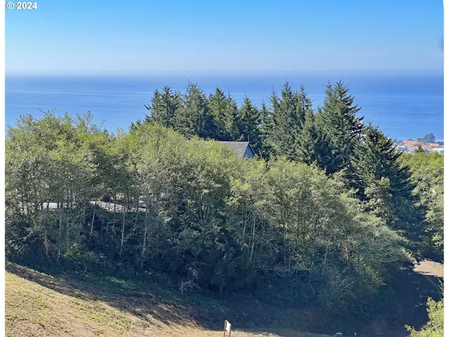 a view of a swimming pool with a yard