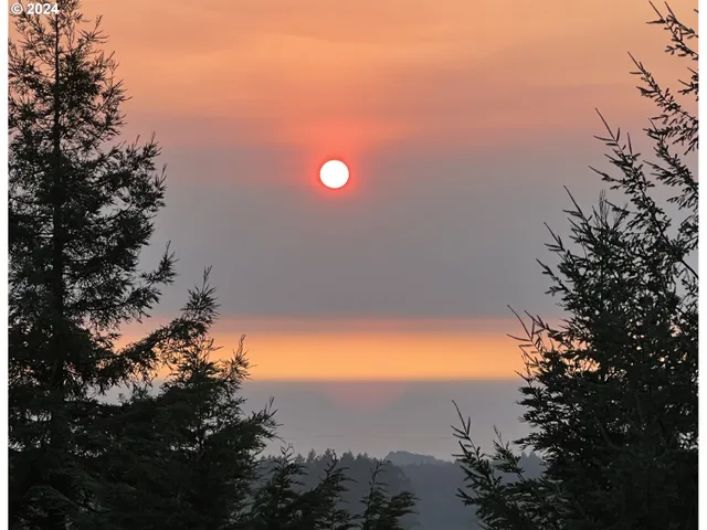 a view of a yard with a house