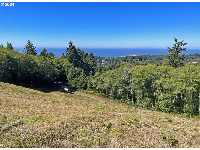 a view of a large garden with a pathway