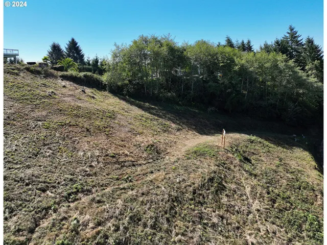 a view of swimming pool with a yard