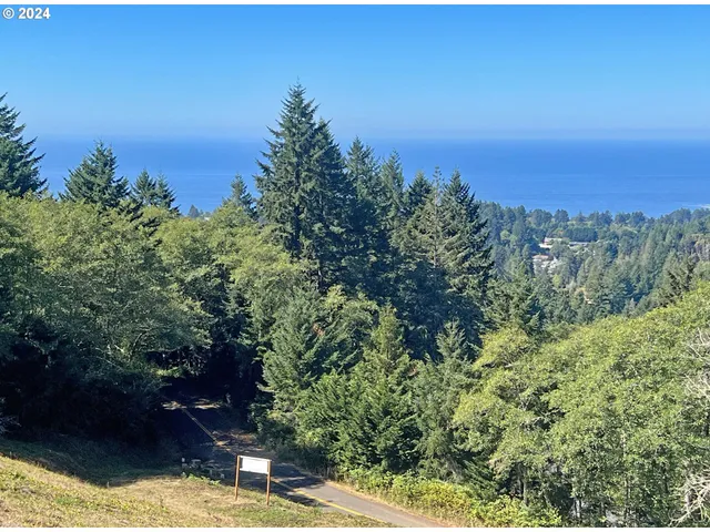 a car parked in the middle of a forest