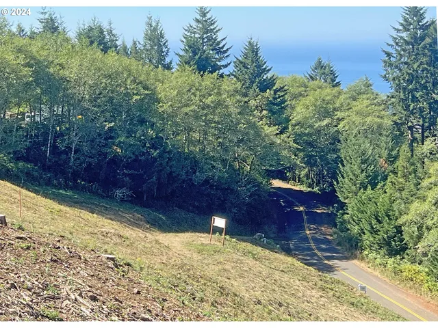 a garden view with a bench