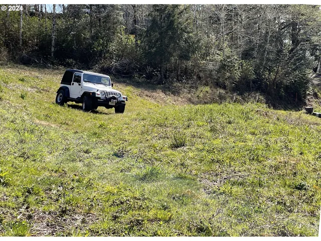 a view of a dry yard with trees