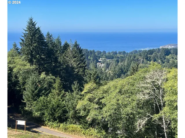 a view of a backyard of a house