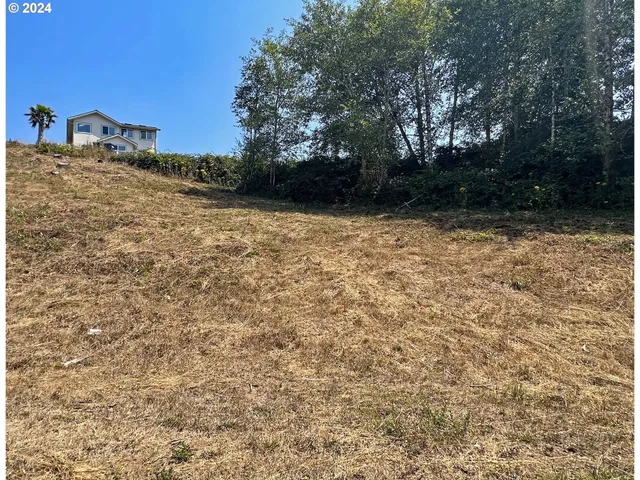 a view of backyard with green space
