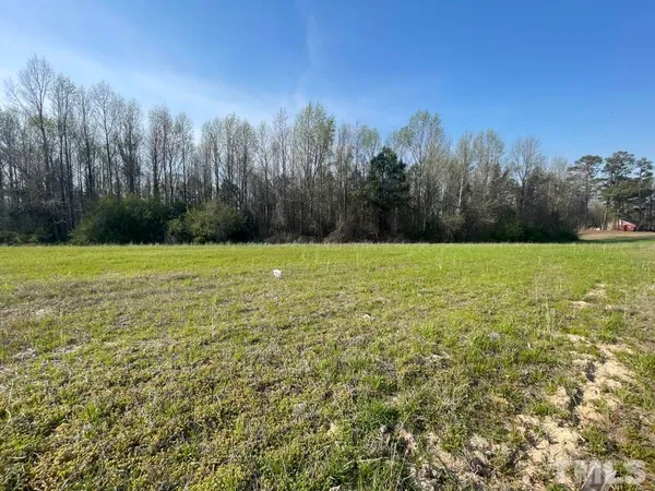 a view of a field with trees in the background
