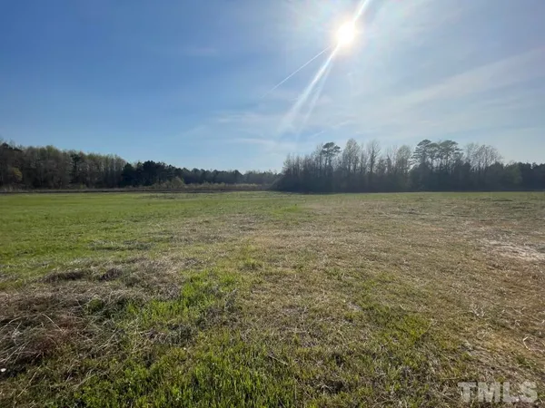 a view of an ocean from a yard