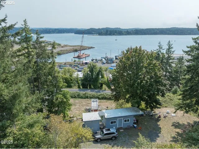 an aerial view of a house with lake view and a forest