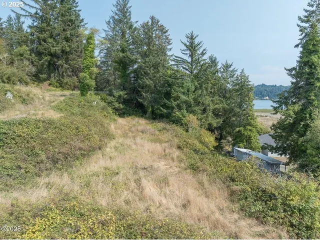 a view of a yard with a tree